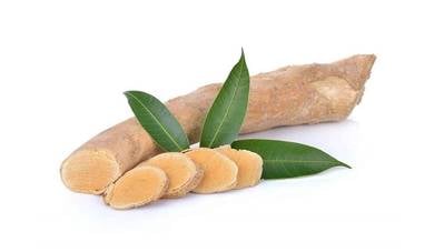Fresh Tongkat ali