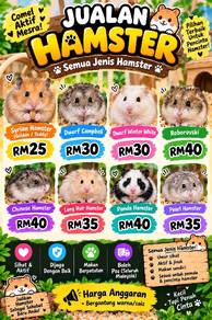 Hamster