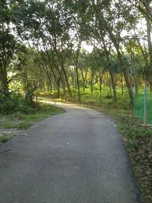 Agricultural Land in Kuala Pilah, NSN