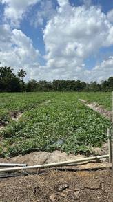 Residential Land in Bachok, KTN