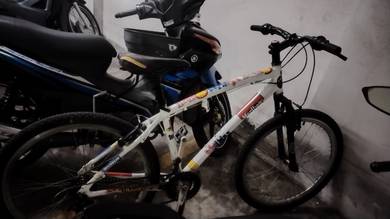 hardtail mountain bike