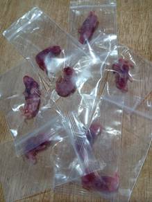 Feeder Frozen mice