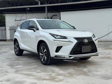 2021 Lexus NX 300 VERSION L