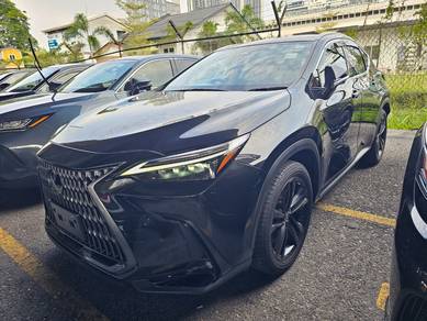 Lexus NX 250 LUXURY in Cheras, KUL