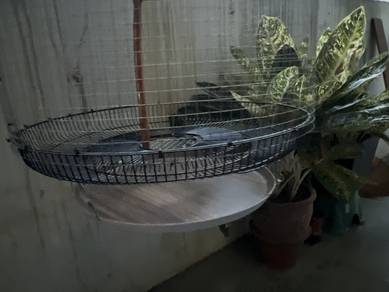 sangkar burung