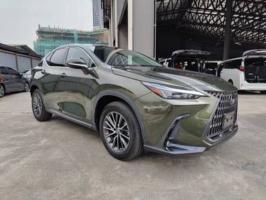 Lexus NX 250 BASE GRADE in Sungai Besi, KUL