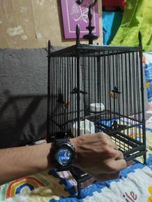 sangkar burung , bird cage 