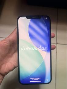 12 pro max 256gb
