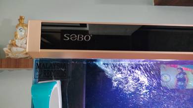 SOBO fish tank with a rowan a fish