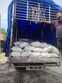 Sabut atau cocopeat sekam bakar untuk tanaman 5864