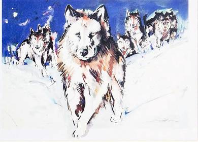 Abstract Wolf Print 📢