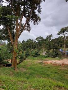 Agricultural Land in Kota Tinggi, JHR
