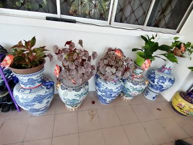 fengshui pasu bonsai  bunga flower decoration 