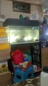perabut utk dijual