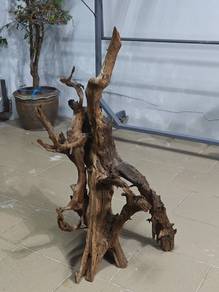driftwood 3 feet aquarium 