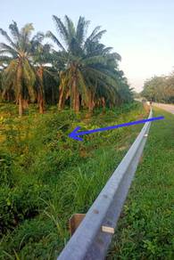 Agricultural Land in Segamat, JHR