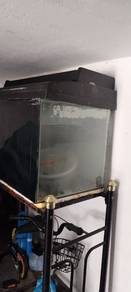 aquarium 2ft