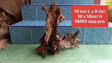 Driftwood   1 kayu best solid boleh terus guna