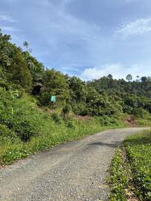 Agricultural Land in Papar, SBH