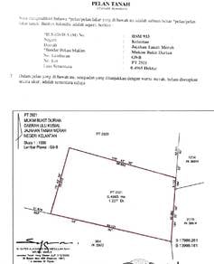 Agricultural Land in Tanah Merah, KTN