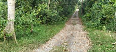 Residential Land in Rembau, NSN