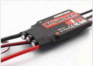 SkyWalker 80A ESC