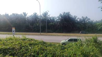Agricultural Land in Kota Tinggi, JHR