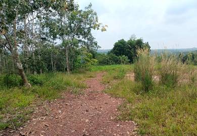 Agricultural Land in Segamat, JHR