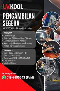 Tinted Installer