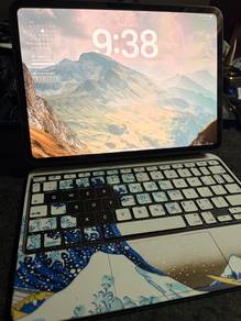 IPad Pro 11’ (M4) 512GB [battery cycle 55 only]