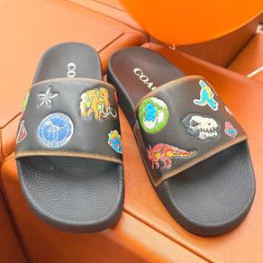 Slide Coach Original