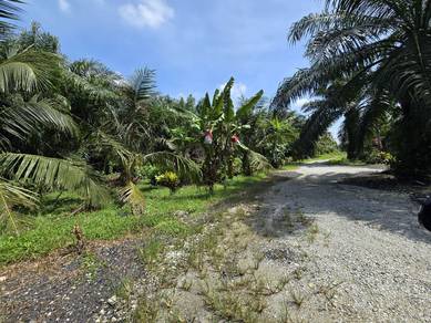 Agricultural Land in Kapar, SGR