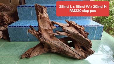 driftwood SUPER SOLID kayu akuarium kolam landscpe