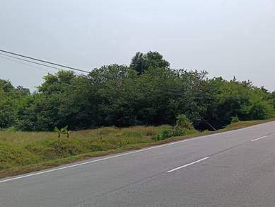 Agricultural Land in Tanjong Sepat, SGR