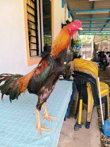ratu LHK