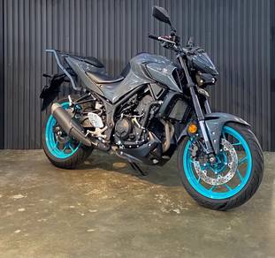 Yamaha MT250