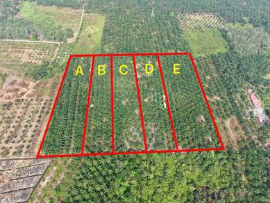 Agricultural Land in Batu Pahat, JHR