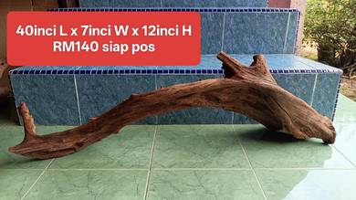 kayu curve besar untuk aquarium 5feet