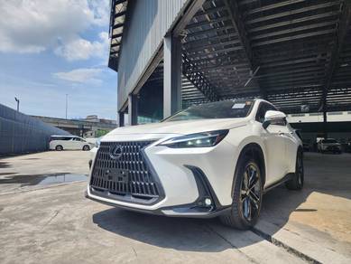 Lexus NX 250 LUXURY in Chan Sow Lin, KUL