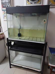 Aquarium 