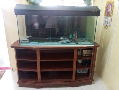 aquarium 4feet