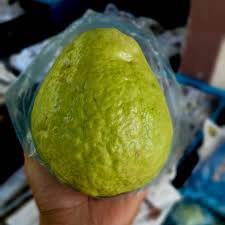 Pembekal Jambu Lohan