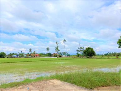 Agricultural Land in Penaga, PNG