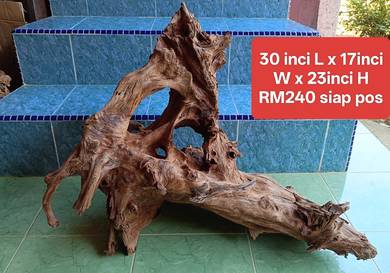 kayu driftwood solid BESAR BERLUBANG