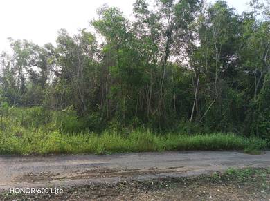 Others Land in Pendang, KDH