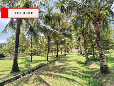 Agricultural Land in Tikam Batu, KDH