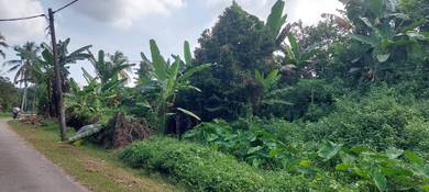 Residential Land in Lukut, NSN