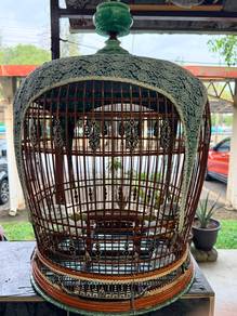 sangkar tanding merbok siam