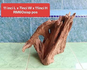 Best solid driftwood for aquascape