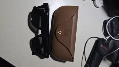 Ray-Ban Meta Wayfarer